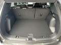 Ford Kuga 2,5 Duratec PHEV ST-Line X Aut. Grau - thumbnail 14