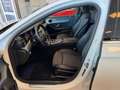 Mercedes-Benz E 200 Avantgarde 9G-Tr. RFK LED SHZ TWA Ambiente Blanc - thumbnail 8