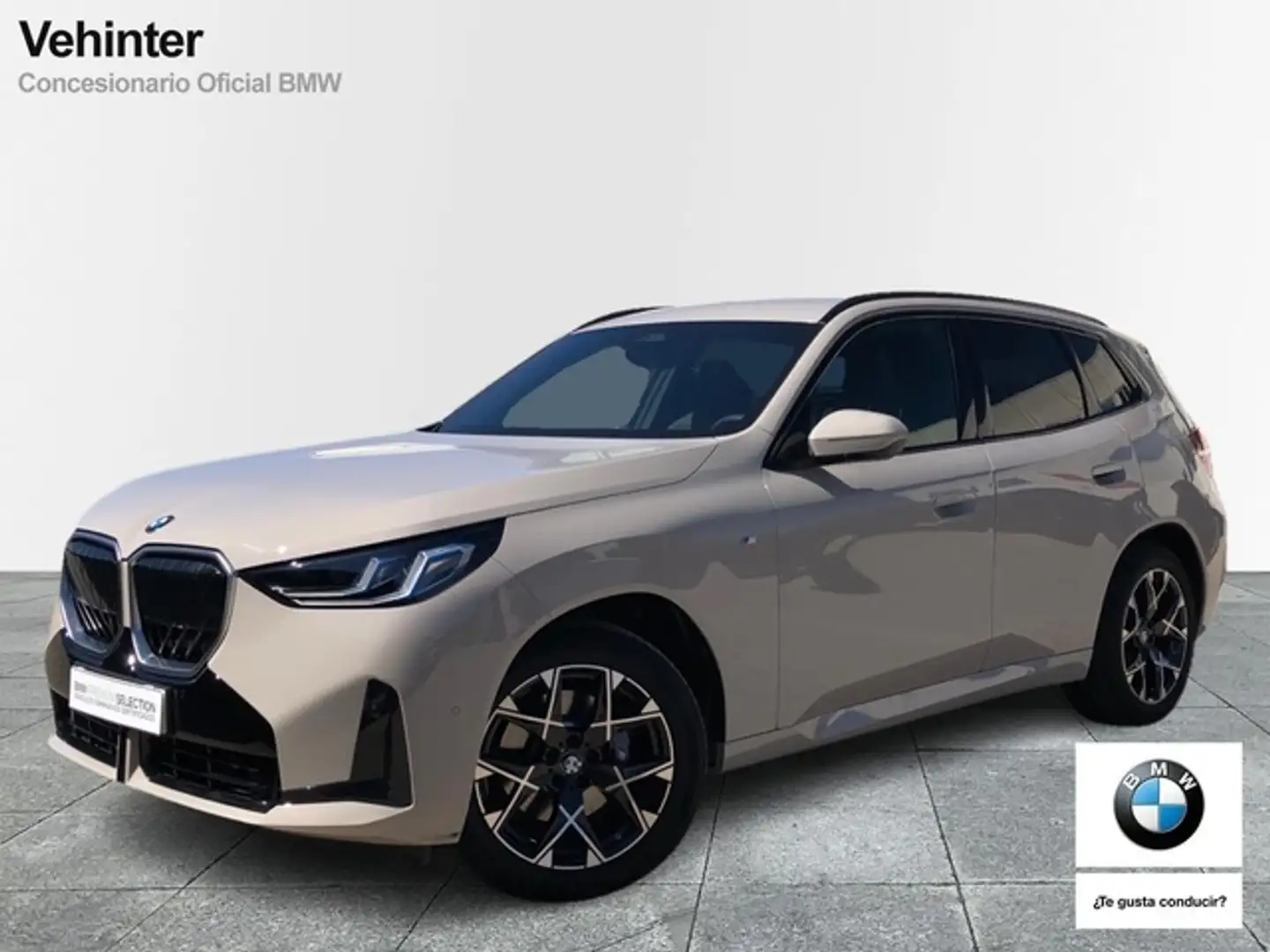 BMW X3 xDrive 20dA Gris - 1