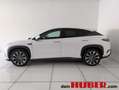 BYD Sealion 7 Excellence AWD Weiß - thumbnail 4