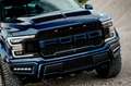 Ford F 150 3.5L V6 4x4/AHK/SHZ/CarPlay/LED/KAMERA/R18 Blau - thumbnail 19