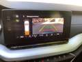 Skoda Octavia Combi 2.0 TDI DSG Style GRA LED Navi Kam Gris - thumbnail 14