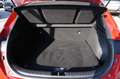 Kia XCeed 1.0 T-GDi Urban 120 CV - PROMO - (OK NEOPATENTATI) Rosso - thumbnail 10