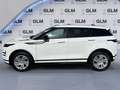 Land Rover Range Rover Evoque Range Rover Evoque 2.0D I4 163 CV AWD Auto R-Dyna Bianco - thumbnail 2
