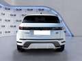 Land Rover Range Rover Evoque Range Rover Evoque 2.0D I4 163 CV AWD Auto R-Dyna Bianco - thumbnail 4
