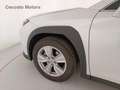 Lexus UX 250h Business 2wd cvt Blanc - thumbnail 13