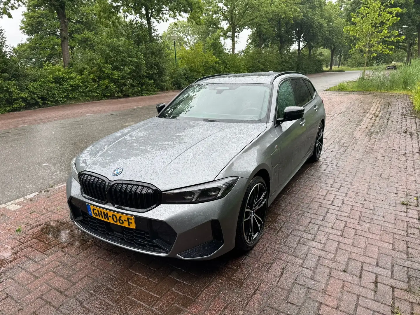 BMW 330 330 Grijs - 1