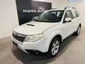 Subaru Forester Forester 2.0d X 6mt*FULL*RETROCAMERA*NAVIGATORE* Alb - thumbnail 1