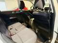Subaru Forester Forester 2.0d X 6mt*FULL*RETROCAMERA*NAVIGATORE* Alb - thumbnail 12