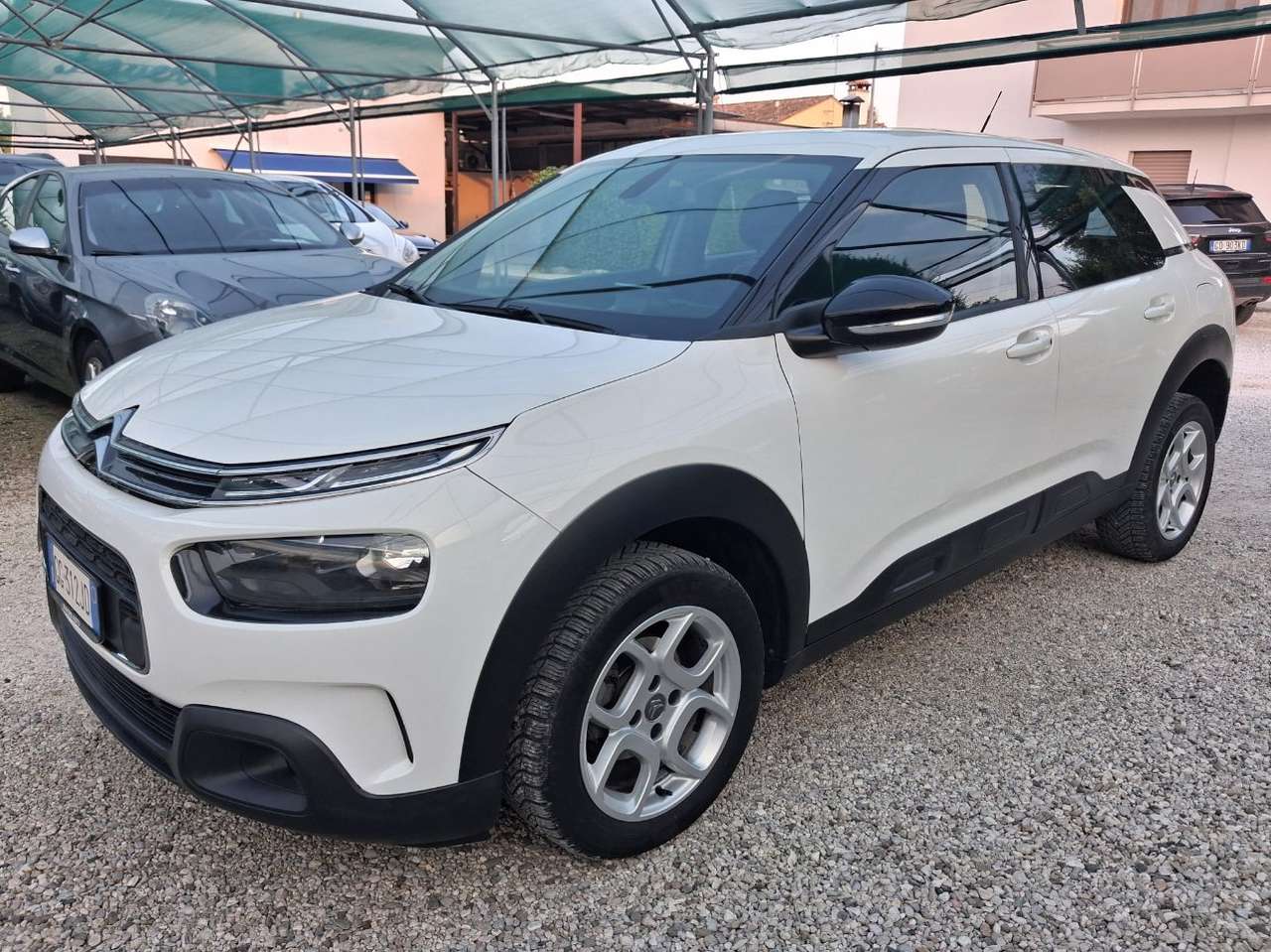 Citroen C4 Cactus 1.5 bluehdi Live s&s 100cv