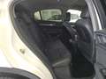 Alfa Romeo Stelvio Stelvio 2.2 t Q4 190cv auto my19 Bianco - thumbnail 14