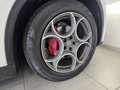 Alfa Romeo Stelvio Stelvio 2.2 t Q4 190cv auto my19 Bianco - thumbnail 20