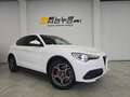 Alfa Romeo Stelvio Stelvio 2.2 t Q4 190cv auto my19 Bianco - thumbnail 1