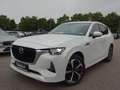 Mazda CX-60 2,5 Takumi Hybrid AHK AWD ACC HUD 360° Weiß - thumbnail 2