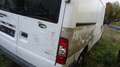Ford Transit Transit 260 K TDCi Lkw Basis Weiß - thumbnail 7