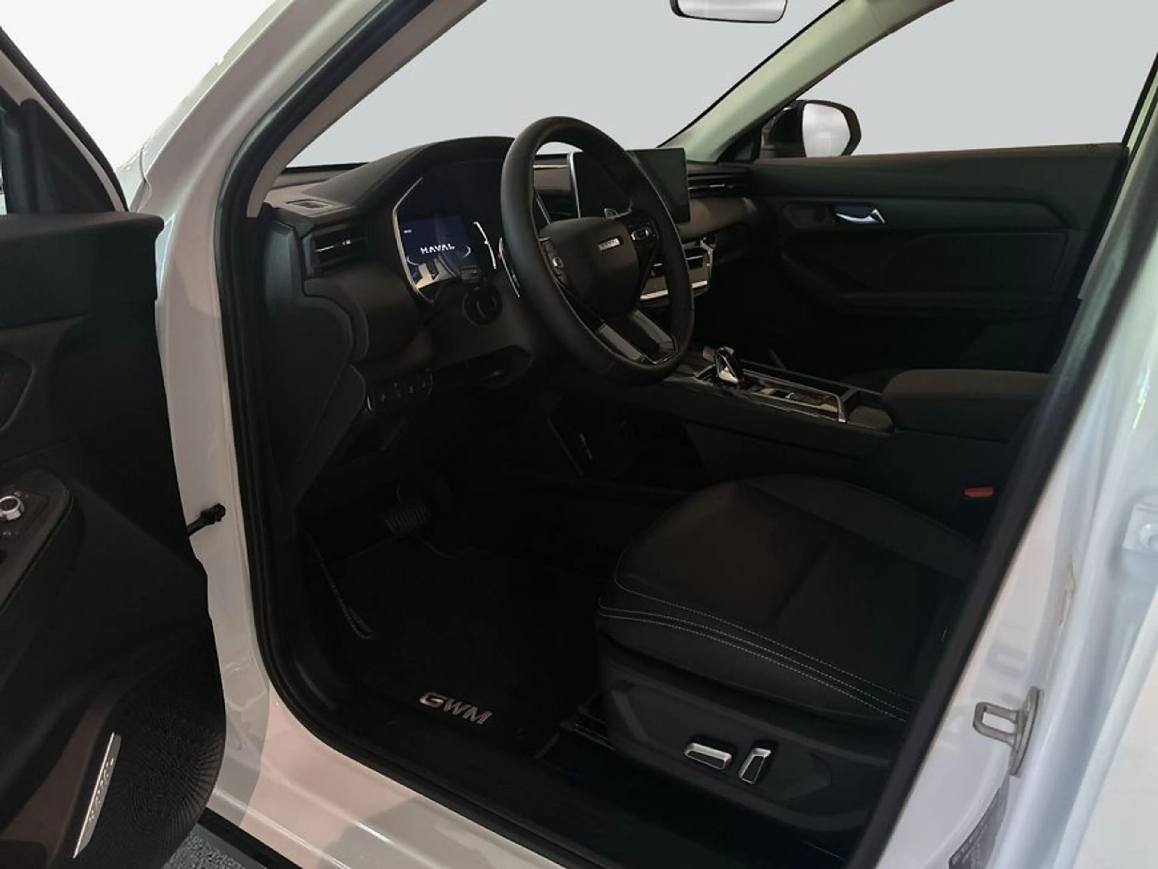 GWM HAVAL Jolion Pro 1.5 Turbo FWD Luxury 130 kW, 5-tü — photo 9
