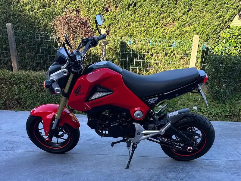 Honda MSX 125 Grom - foto 5