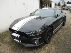 Ford Mustang Basis Fastback