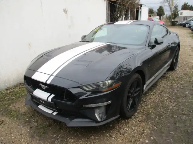 Ford Mustang Basis Fastback