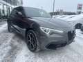 Alfa Romeo Stelvio 2.0 16V 280 PS AT8 Q4 Veloce Paket Grau - thumbnail 6