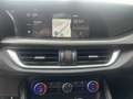 Alfa Romeo Stelvio 2.0 16V 280 PS AT8 Q4 Veloce Paket Grau - thumbnail 13