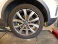 Volkswagen T-Roc 1.5TSI DSG Style P-DACH NAVI KAMERA SHZ Grau - thumbnail 7