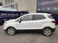 Ford EcoSport 1.0 EcoBoost 125 CV Start&Stop Titanium Bianco - thumbnail 4
