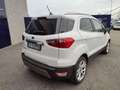 Ford EcoSport 1.0 EcoBoost 125 CV Start&Stop Titanium Bianco - thumbnail 7