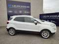 Ford EcoSport 1.0 EcoBoost 125 CV Start&Stop Titanium Bianco - thumbnail 6