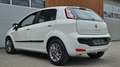 Fiat Punto Blanc - thumbnail 7