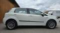 Fiat Punto Blanc - thumbnail 4