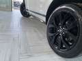 Land Rover Range Rover Evoque Range Rover Evoque 2.0D I4 240 CV AWD Auto R-Dynam Bianco - thumbnail 9