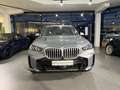 BMW X5 xDrive30d  M Sport M Sportpaket HK HiFi DAB Grau - thumbnail 11