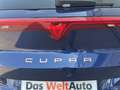 CUPRA Terramar 150 PS DSG - nur €36.499,-* Monatlich € 354,- Blau - thumbnail 35