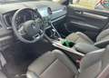 Renault Koleos Life Grau - thumbnail 18