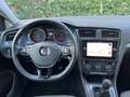 Volkswagen Golf 1.6 tdi Business 115cv Argento - thumbnail 10