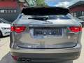 Jaguar F-Pace 20d AWD R-Sport Aut. *Leder*Navi*DynamicPaket* Grau - thumbnail 5