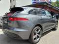 Jaguar F-Pace 20d AWD R-Sport Aut. *Leder*Navi*DynamicPaket* Grau - thumbnail 4