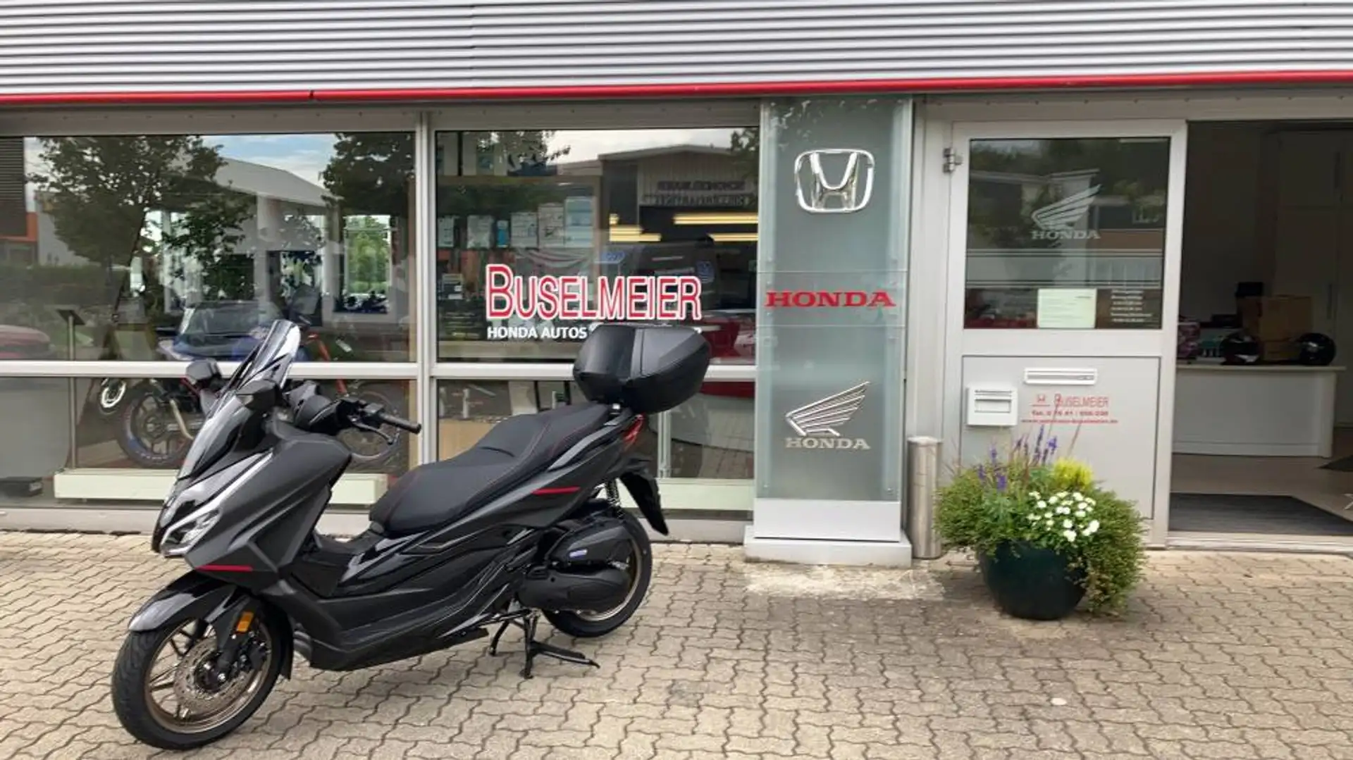 Honda Forza 125 Edition 2025 Grijs - 2