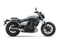 Kawasaki ZL 500 4 Jahre Garantie Wit - thumbnail 2