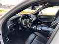 BMW 520 520D Touring mhev 48V xdrive Business auto Weiß - thumbnail 10