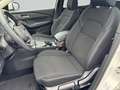 Nissan Qashqai Accenta *Xtronic/SHZG/Navi-App/Kamera/ICC/LED* Blanc - thumbnail 10