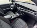 Alfa Romeo Stelvio 2.2 TD 190cv AT8 Q4 (APP/LED/Navi/Retro) Grigio - thumbnail 11