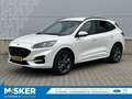 Ford Kuga 2.5 PHEV ST-Line X DRIVERPACK! WINTERPACK! Blanco - thumbnail 1