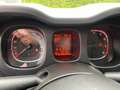Fiat Panda Cross 1.0 FireFly S&S Hybrid solo 8000 km garanzia Nero - thumbnail 5