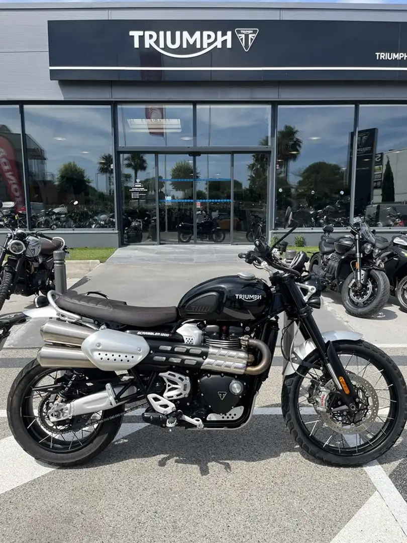 Triumph Scrambler - 1