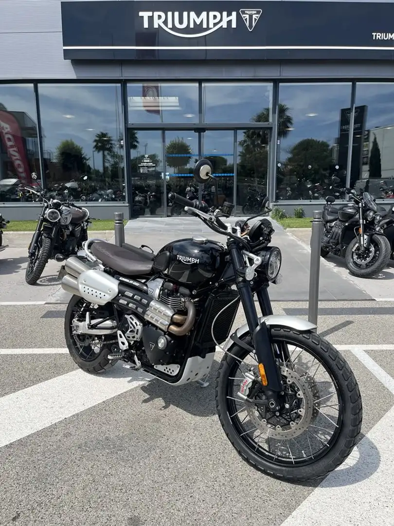 Triumph Scrambler - 2