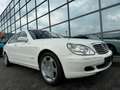 Mercedes-Benz S 600 S -Klasse  S 600 L V12 Turbo Weiß - thumbnail 18