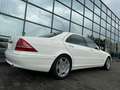 Mercedes-Benz S 600 S -Klasse  S 600 L V12 Turbo Weiß - thumbnail 17