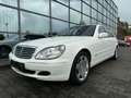 Mercedes-Benz S 600 S -Klasse  S 600 L V12 Turbo Weiß - thumbnail 11